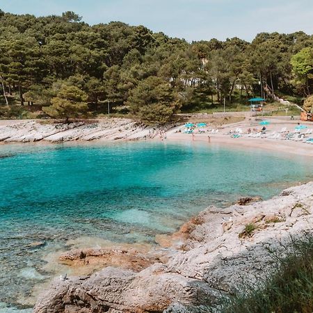 Studio Apartment Pinetree - Mali Losinj Ngoại thất bức ảnh